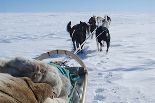 Husky-expeditie in Noors Lapland